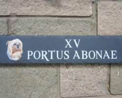 Custom Made Signs Swansea