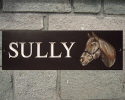 House Signs Cardiff