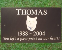 Custom Made Signs Swansea