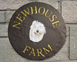 Custom made Hand Painted House names Swansea